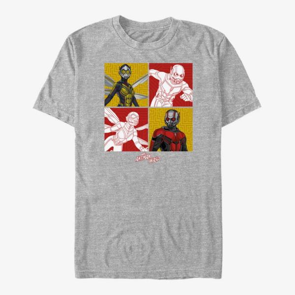 Tričko Merch Marvel Ant-Man & The Wasp: Movie - Antman And Wasp Foursquare Unisex T-Shirt Heather Grey S