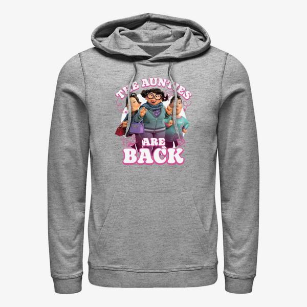 Mikina Merch Pixar Turning Red - Aunties Unisex Hoodie Heather Grey XXXL
