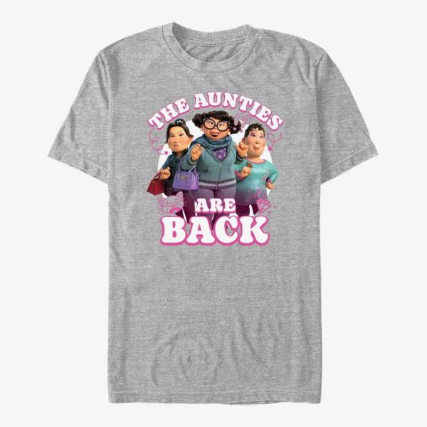 Queens Pixar Turning Red - Aunties Unisex T-Shirt Heather Grey