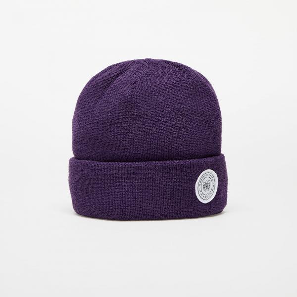 Horsefeathers Sela Beanie Violet