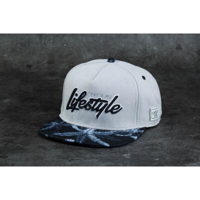 Cayler & Sons WL Lifestyle Cap Grey/ Black