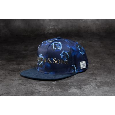 Cayler & Sons WL Infinity Cap Navy/ Gold