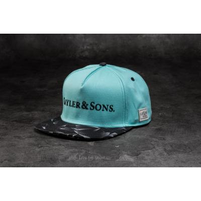 Cayler & Sons WL BK Rocks Cap Mint/ Black
