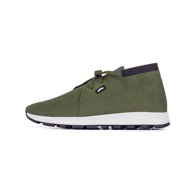 Boty Native Apollo Chukka Hydro Rookie Green / Jiffy Black / Shell White / Jiffy Rubber
