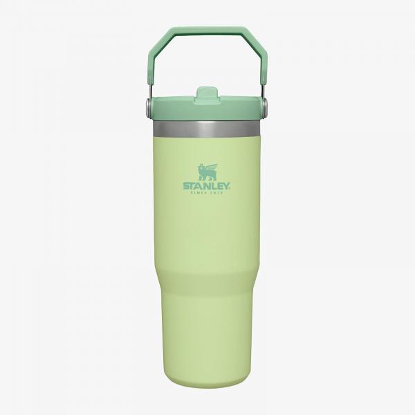 STANLEY The IceFlow™ Flip Straw Tumbler 890 ml Citron Universal