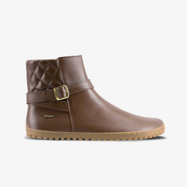 Be Lenka Diva Dark Brown 36