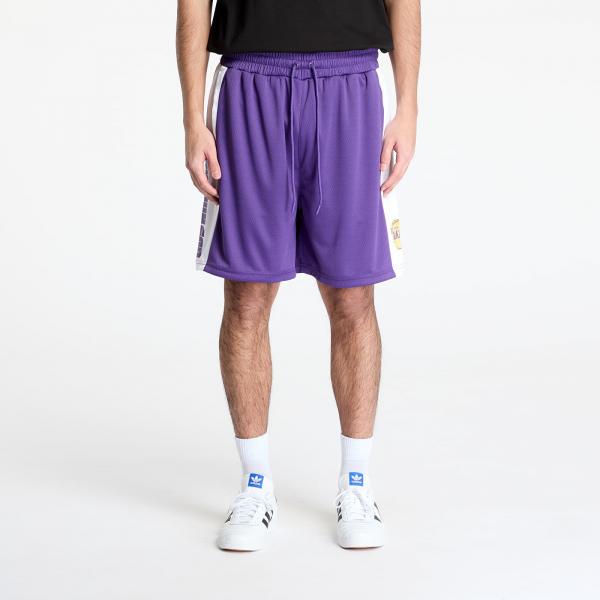 Šortky New Era Los Angeles Lakers NBA Graphic Mesh Shorts True Purple S