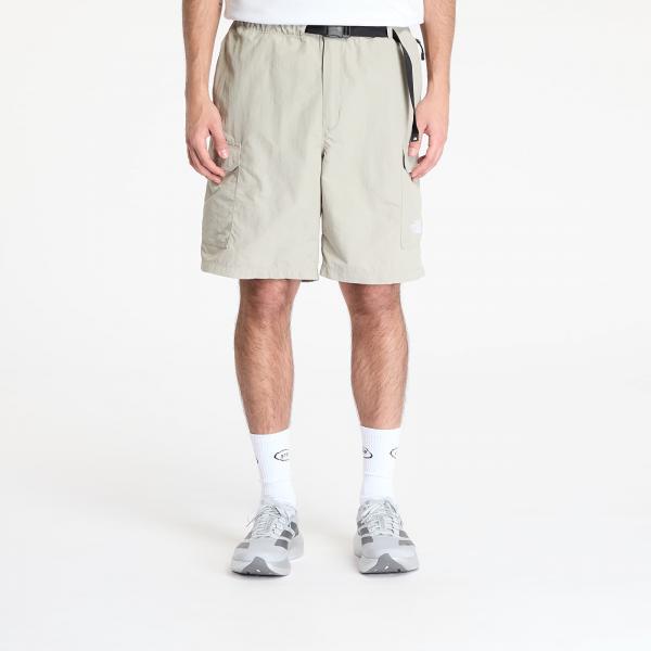 Šortky The North Face M Nse Short Clay Grey L