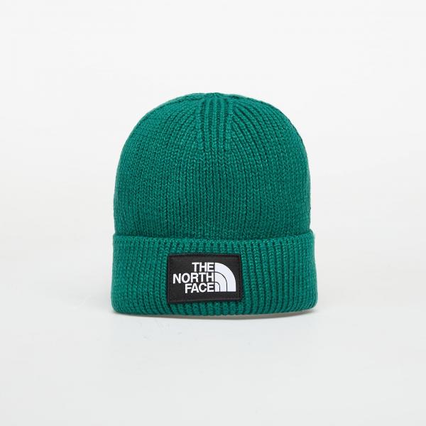 Čepice The North Face Logo Box Cuffed Beanie Evergreen Universal