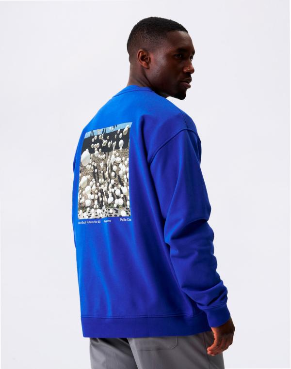 pinqponq Sweatshirt Unisex Future Blue Pelle Cass XS