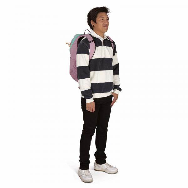 Batoh Osprey Astronova Iris Pink Universal
