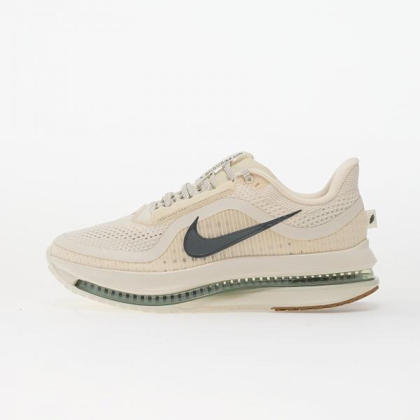Tenisky Nike Pegasus Premium Pale Ivory/ Black Spruce-Jade Horizon EUR 47.5