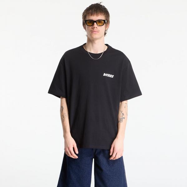 Tričko Dickies Dry Ridge Ss Tee Black M