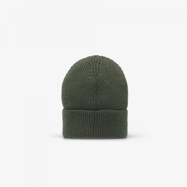 Čepice The North Face TNF Logo Box Cuffed Beanie Bottle Green Universal