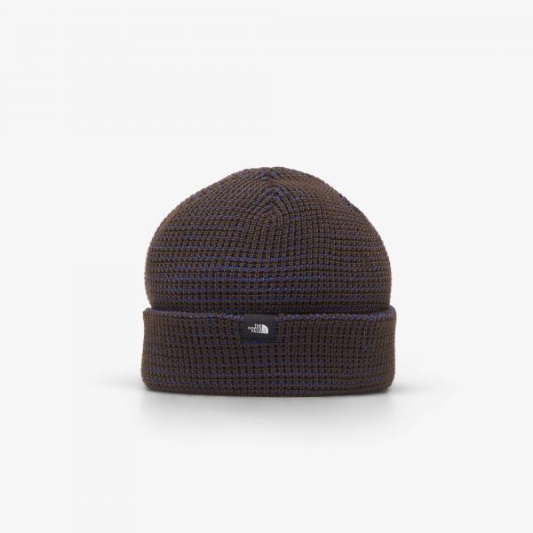 Čepice The North Face TNF Fisherman Beanie TNF Blue Universal