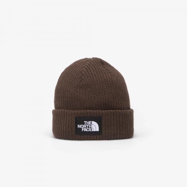 Čepice The North Face Salty Lined Beanie Dark Chestnut Universal