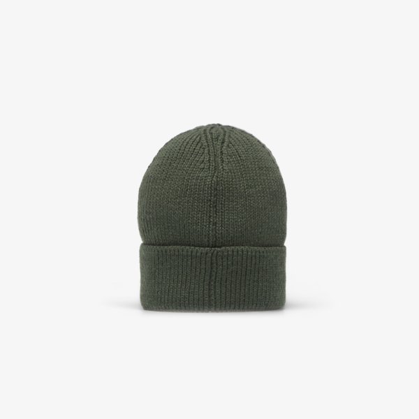 Čepice The North Face TNF Logo Box Cuffed Beanie Bottle Green Universal