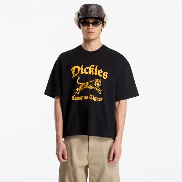 Tričko Dickies Apalachicola SS Tee Black XL