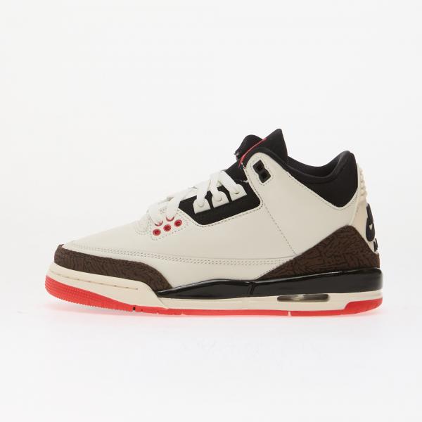 Air Jordan 3 Kids "World