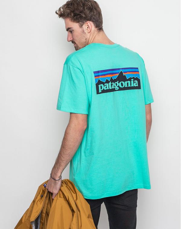 Logo tee Patagonia P-6 Galah Green