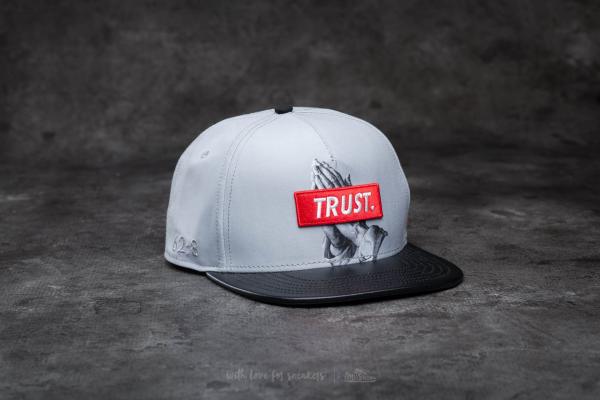 Cayler & Sons WL Trust Cap Grey
