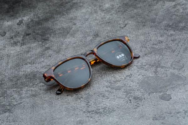 Komono Francis Tortoise