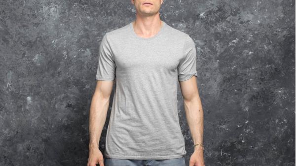 Nike SB CTN Essential Tee Grey