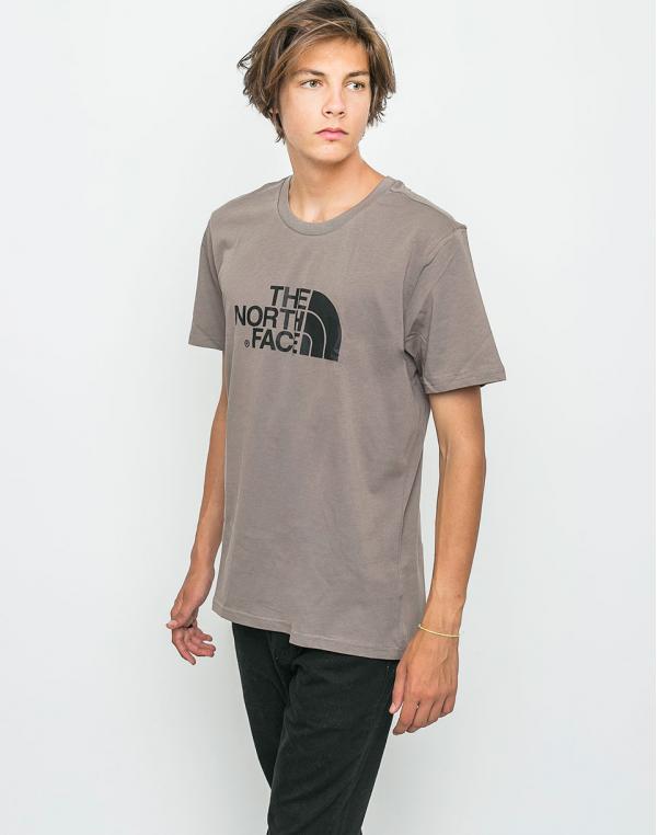 Logo tee The North Face Easy Falcon Brown