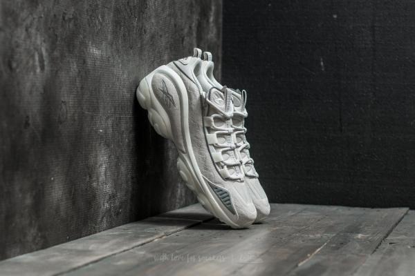 Reebok DMX Run 10 SE Chalk/ White-Ice